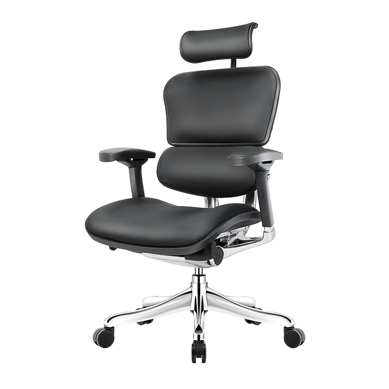 Ergonor Ergohuman保友金豪e精英版电脑椅皮椅人体工学椅家用办公椅护脊老板椅电竞椅 黑色+躺舒宝 精英版(皮椅)