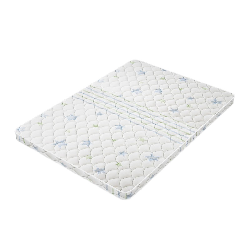 能见度 尊享豪华舒适款 进口乳胶加厚榻榻米床垫舒适护脊垫 【定金】超级VIP专享【定金】【定制专拍】