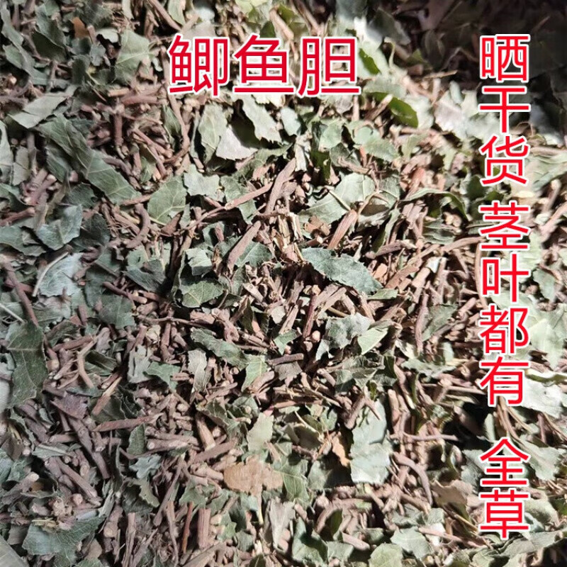 【精选】鲫鱼胆草全草中草药干品广西空心花冷饭果中药材散装晒干货