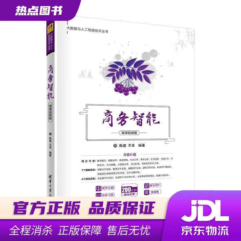 商务智能 陈建,羊英 清华大学出版社