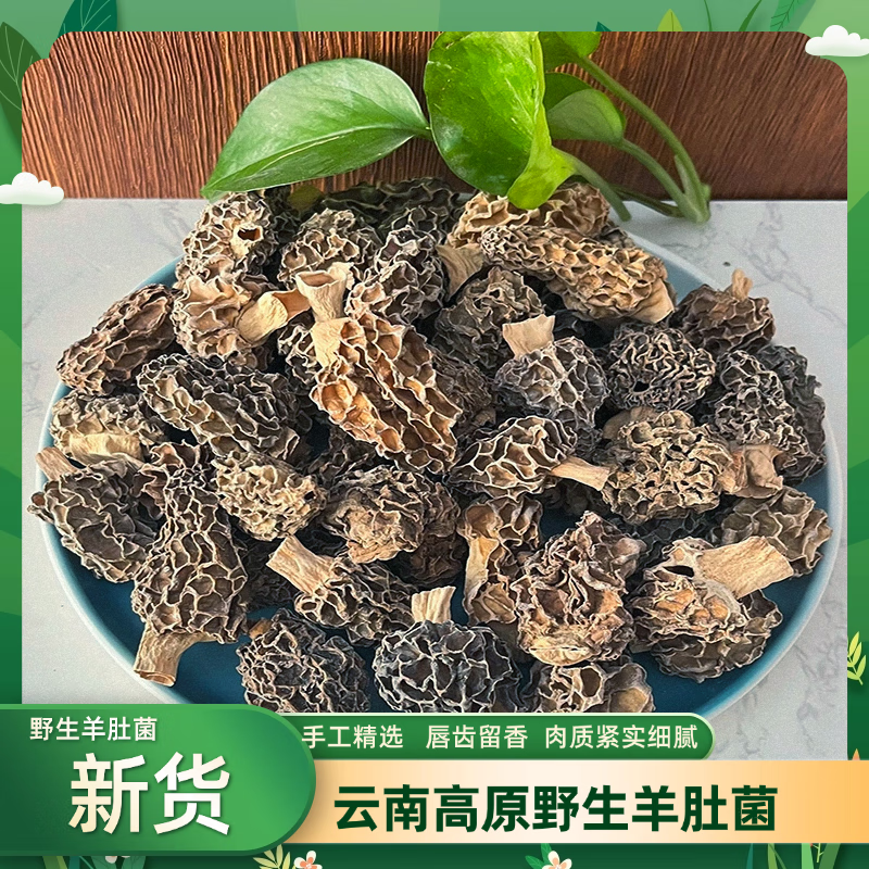 鎮(zhèn)之南云南野生羊肚菌精選剪柄野生羊肚菌云南高原野生羊肚菌當(dāng)季新貨 精選野生羊肚菌中個(gè)2-3cm50克