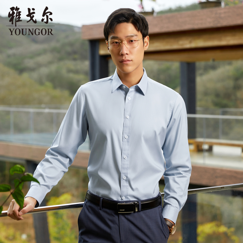 雅戈尔（YOUNGOR）长袖衬衫男素色DP免烫衬衫全棉面料舒适透气平整抗皱易打理 湖蓝 40 （175/92A）