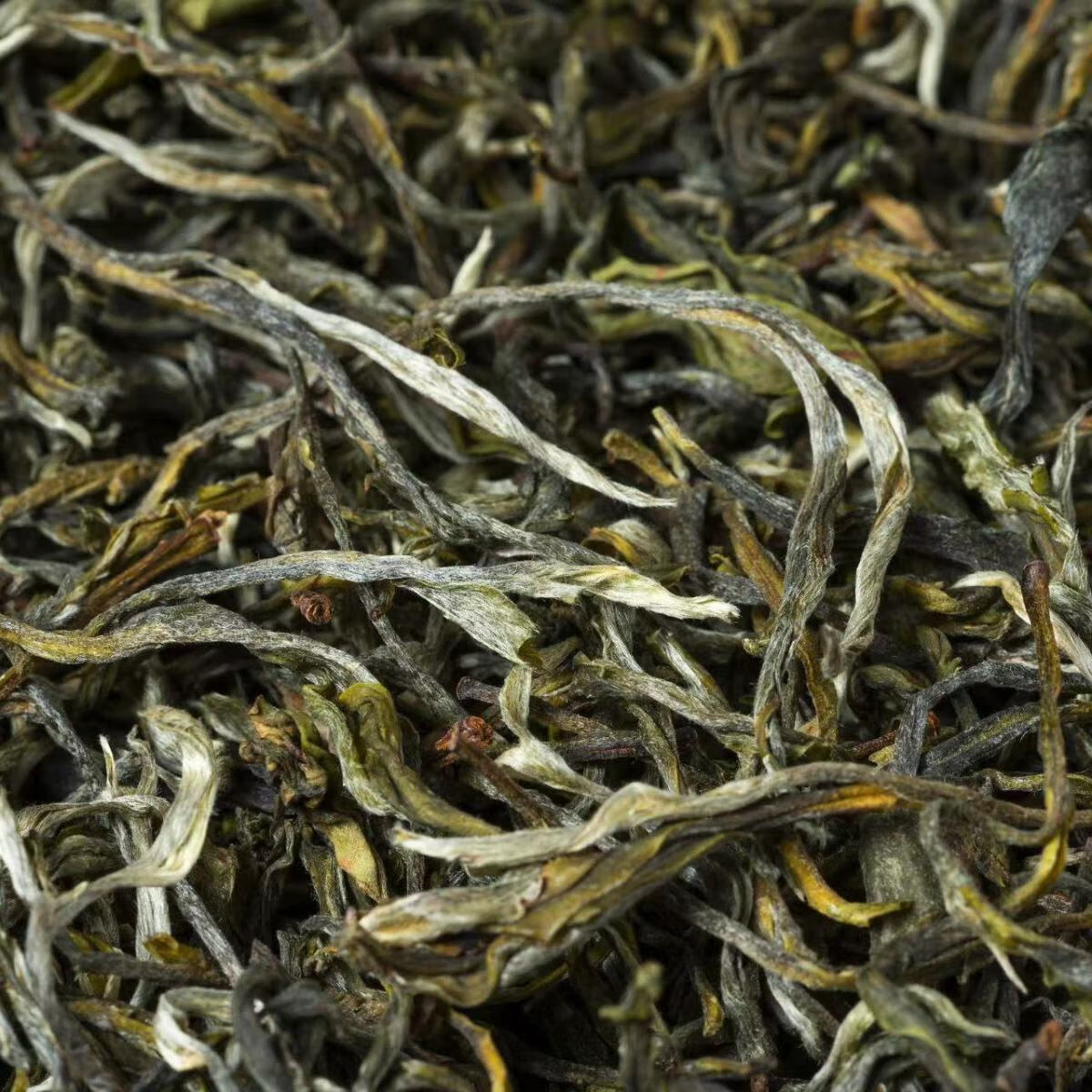 法思觅语2023年头春茶新茶云南绿茶高山浓香型银丝绿滇绿茶罐罐茶茶叶