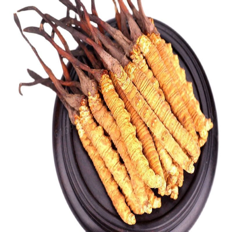 冬虫夏草断虫草 野i生断虫草新鲜干货青海非西藏那曲冬虫夏草 特级