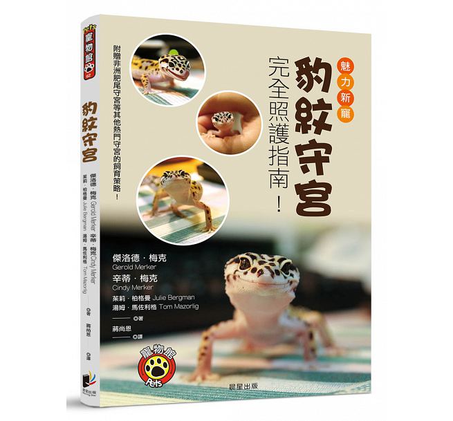 在途 豹纹守宫 魅力新宠豹纹守宫完全照护指南！ 晨星 台版原版 生活风格