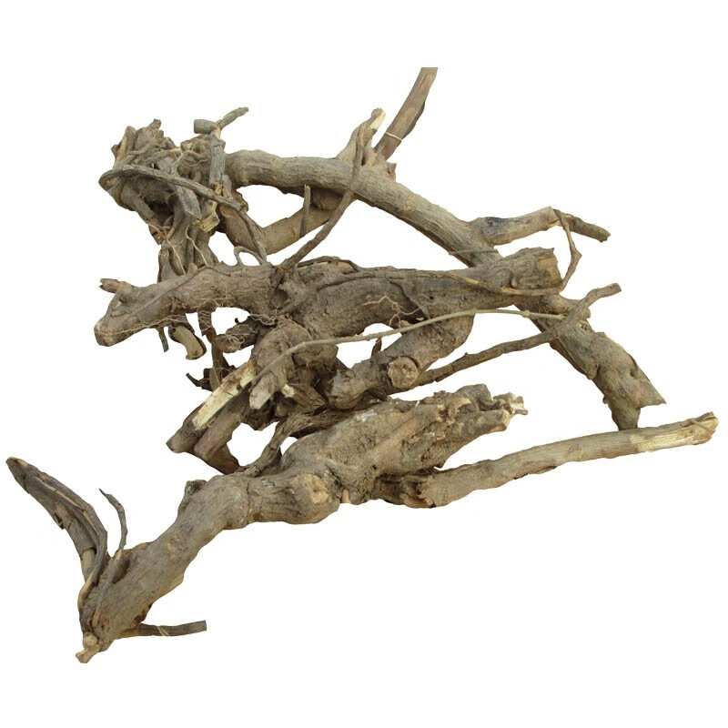 味巴哥(mostdelicious)福建闽南兔子耳朵 过饥草 土丁桂 白毛将军