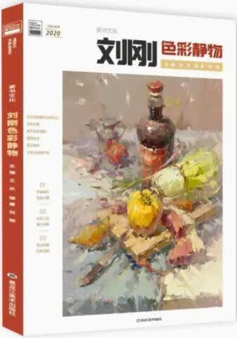 刘刚色彩静物 王乐主编 黑龙江美术出版社