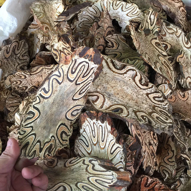 广西野生龙骨风500克g大贯众飞天擒罗飞天蠄蟧泡酒料煲汤料中药材