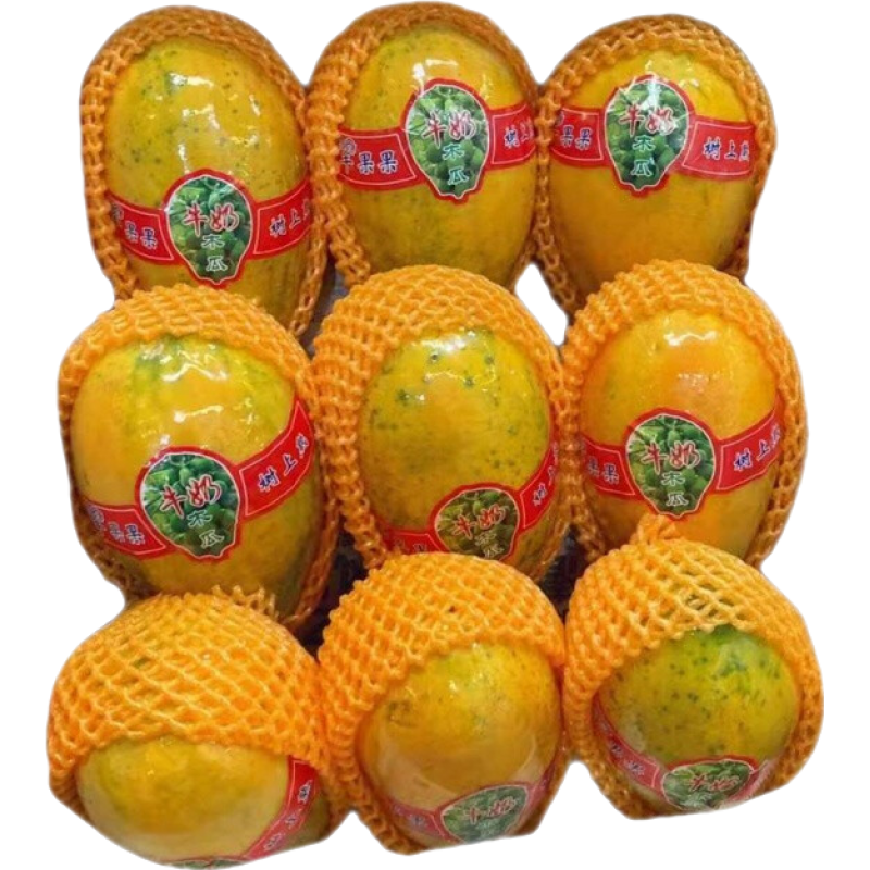 ����Ρ�JD˳�����͡�ţ��ľ�������캣�����ʺ����������������ˮ�� 4�� ����450-500g+  һ��һ������ 59.5Ԫ