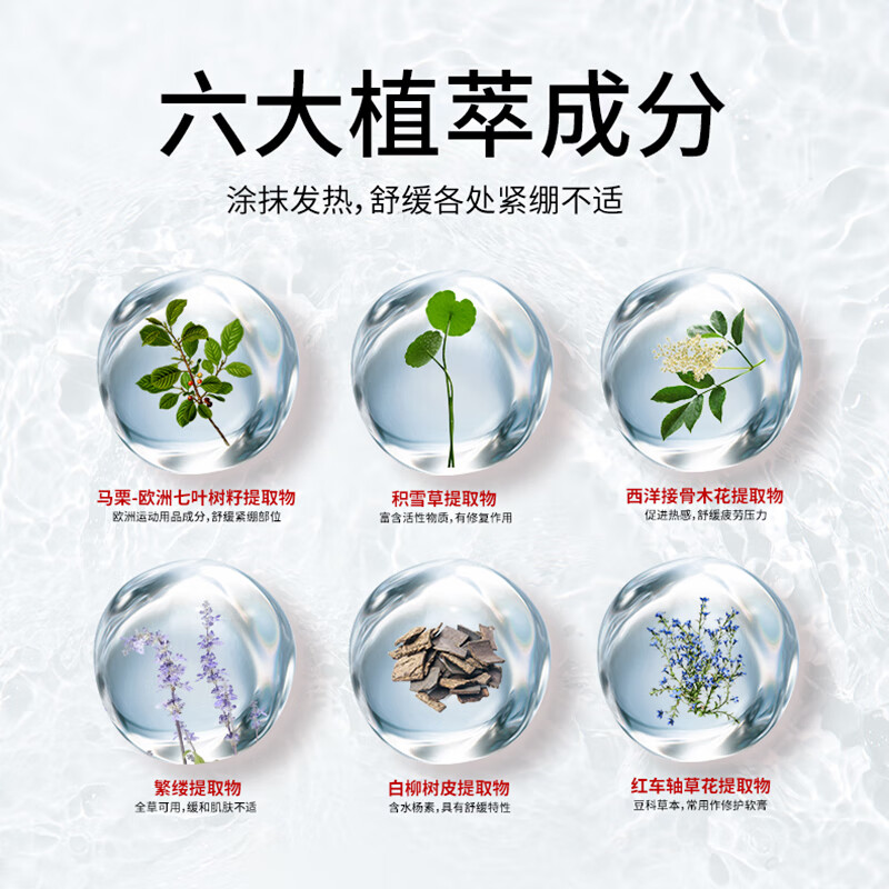 KoalaMan考拉侠马膏原装进口马栗膏按摩凝胶马油膏舒缓关节肌肉酸痛按摩膏 原装进口热感马膏100g*1瓶