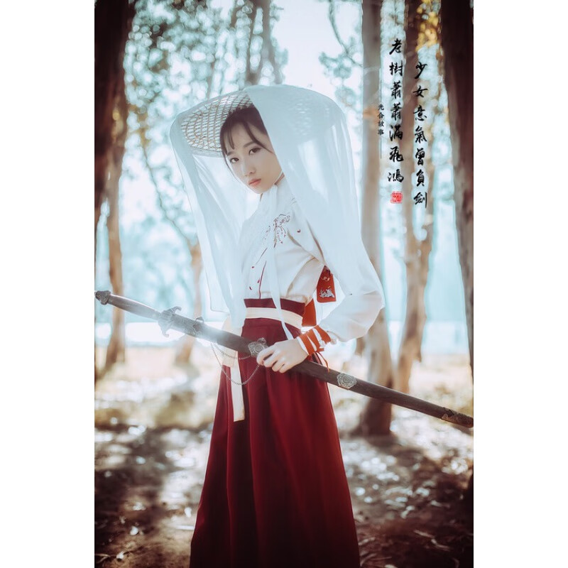 fengedun女侠风古装汉服武侠风服装女中国风学生装襦裙改良版日常长袖