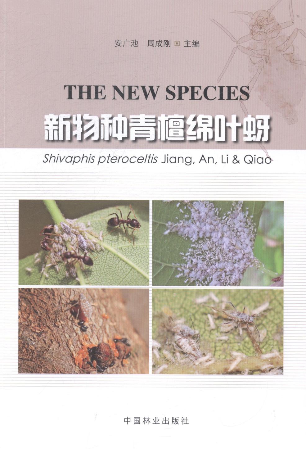 新物种青檀绵叶蚜 农业/林业 书籍