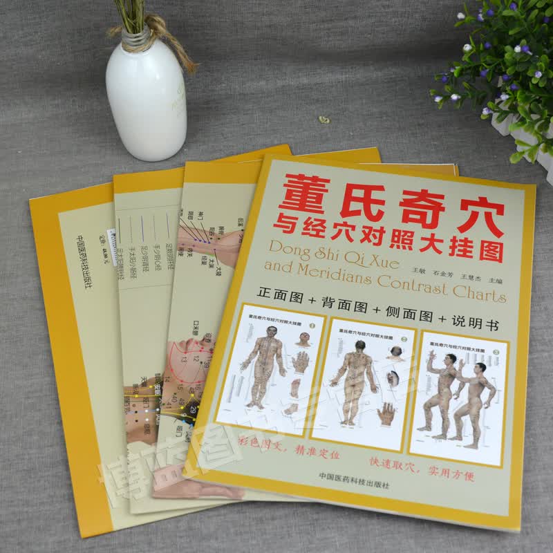 正版 董氏奇穴与经穴对照大挂图 经络穴位大挂图 中医养生书籍 针灸推拿按摩 中国医药科技出版社