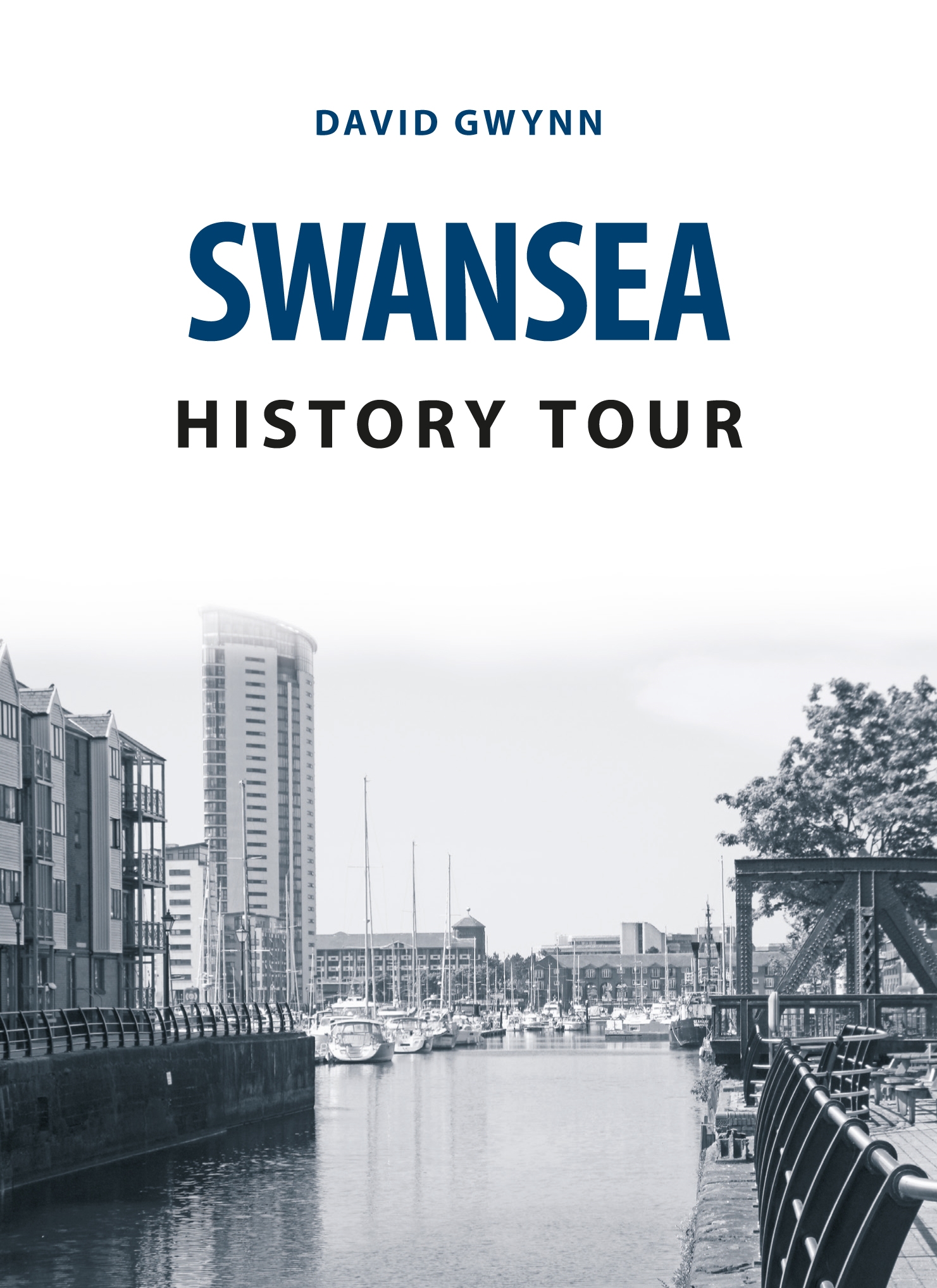 swansea history tour