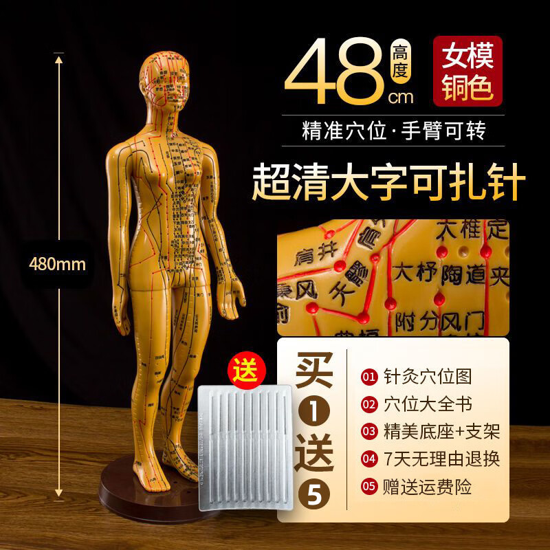 针灸穴位人体模型中医经络仿真小铜人可扎针全身大图练习用模型人 可