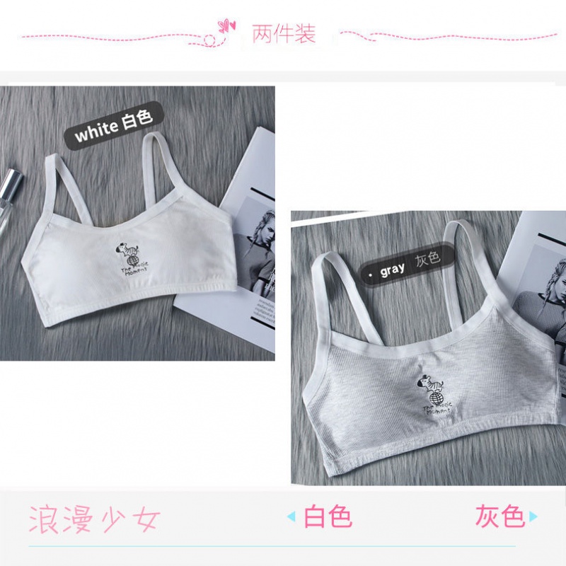 少女文胸历史价格查询|少女文胸价格走势图