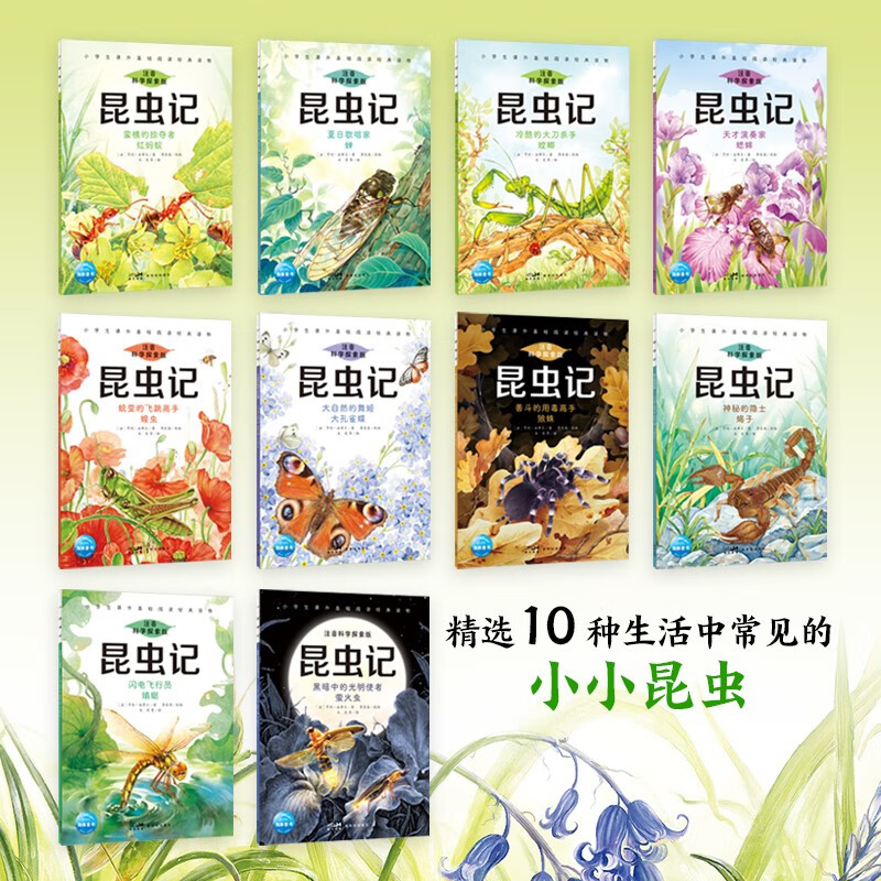 昆虫记·注音科学探索版：全10册详情图