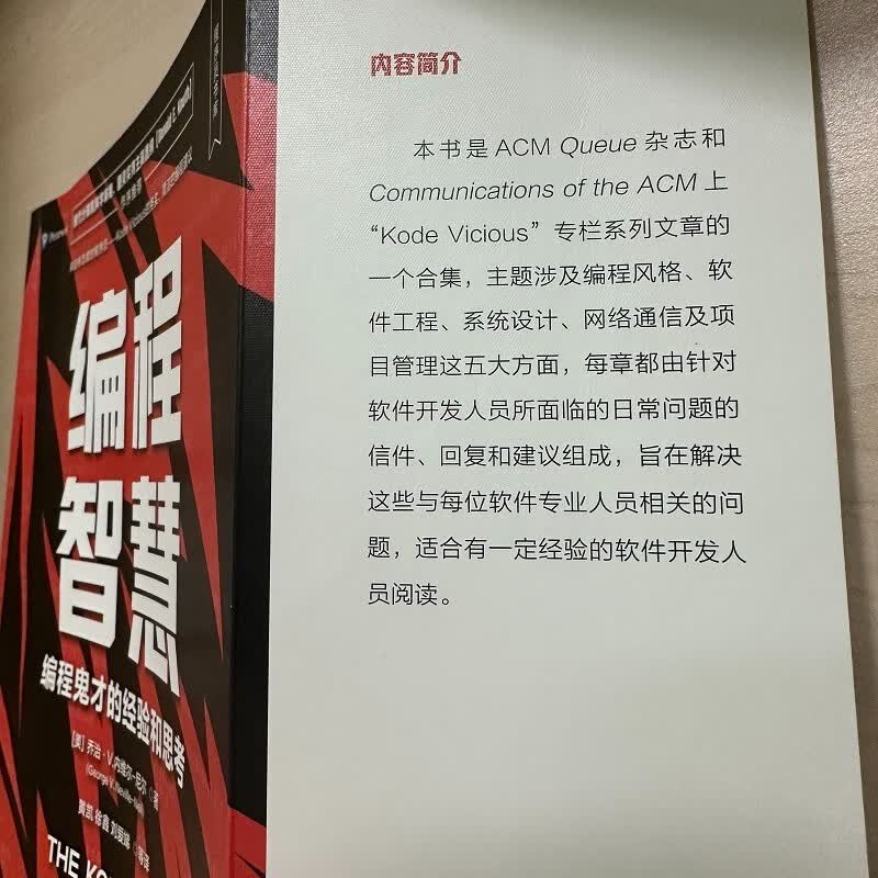 编程智慧：编程鬼才的经验和思考详情图