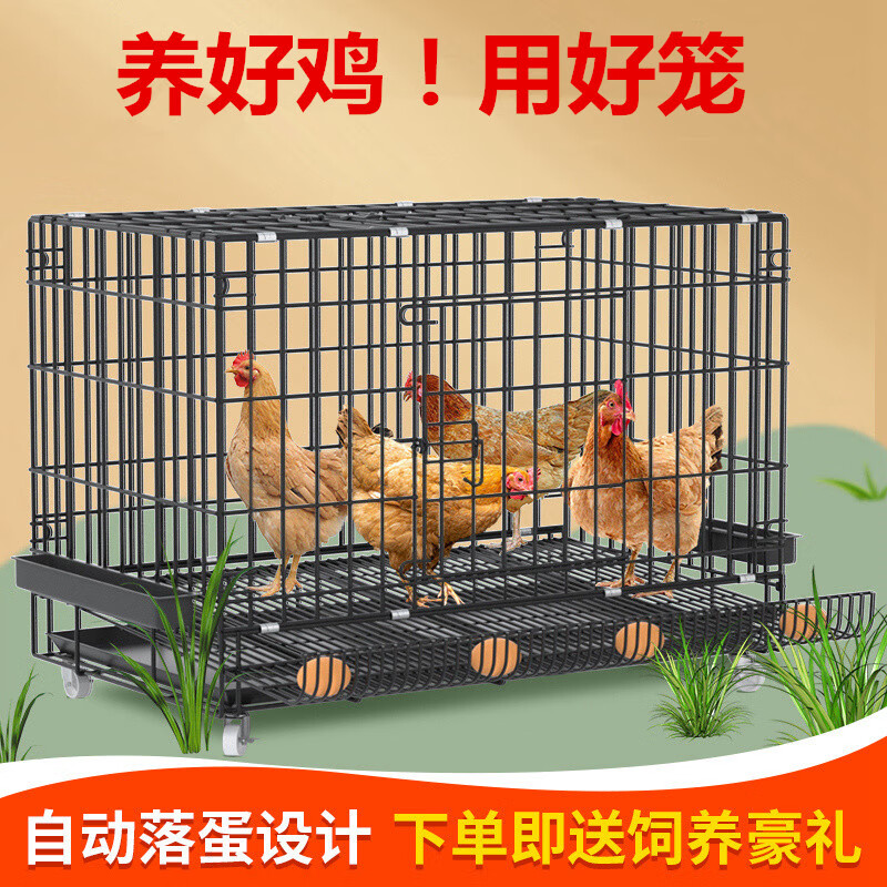 *雞籠子家用大號(hào)特大加粗養(yǎng)殖籠雞舍雞籠鴨籠折疊自動(dòng)滾蛋雞籠 套餐四(套餐一+草窩防雨布+輪子 蛋托款85*60*70(適合5只內(nèi))