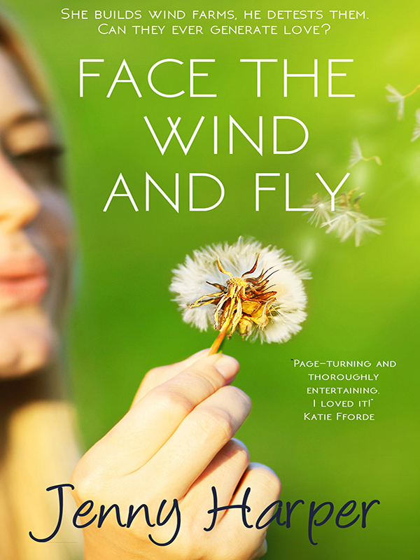 face the wind and fly
