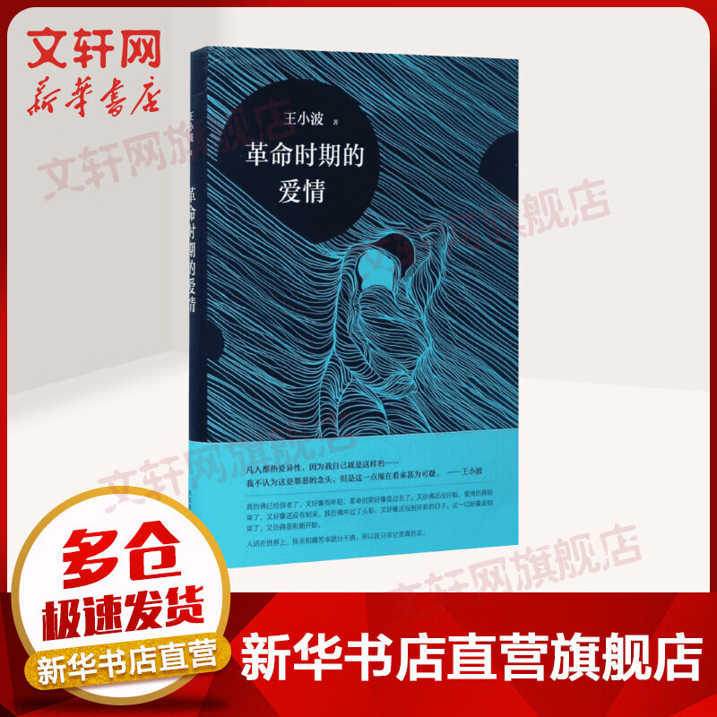 革命时期的爱情 王小波散文小说作品