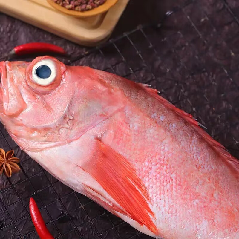 京尊达红石斑鱼整条速冻深海大眼鱼富贵鱼大龙胆鱼海鲜水产刺少肉多 五斤装