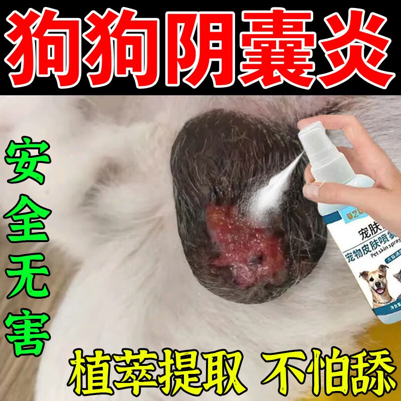 狗狗阴囊炎专用狗蛋蛋发炎红肿溃烂流脓真菌感染消炎抑菌喷剂l 1瓶