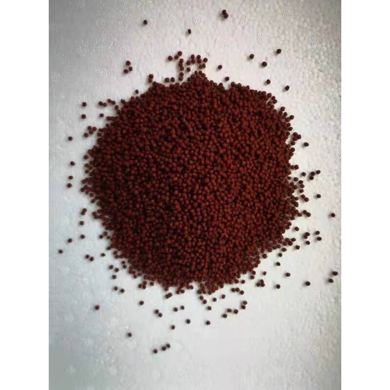 欧因蓝面财神鱼大型观赏鱼淡水鱼三湖慈鲷鱼金红龙配鱼鱼好养耐活 蓝