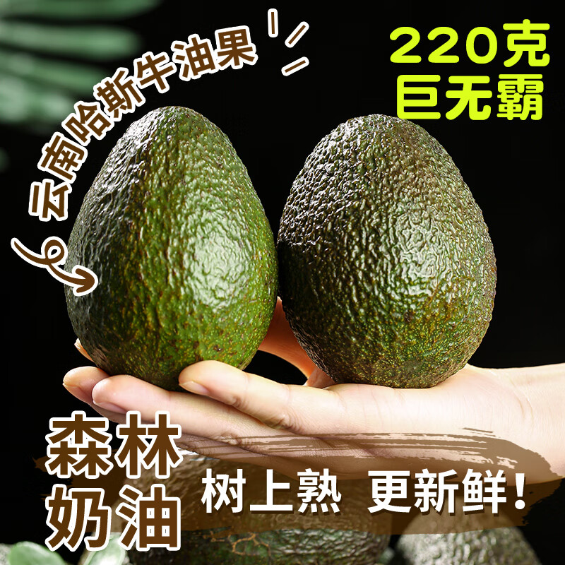 译优农【不熟包赔】云南孟连哈斯牛油果新鲜水果国产鳄梨大果健康轻食 8粒【单果100-130g】实惠中果