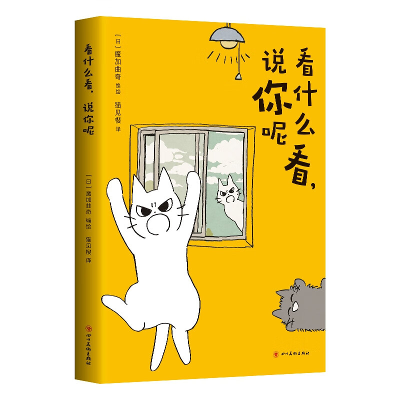 看什么看，说你呢