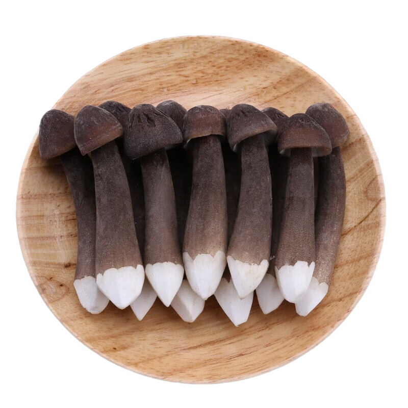 plus��Ա�����������Ϻ�Ƥ���Ⱦ�1�� ���ʼ��Ⱦ���������������� Դͷֱ��