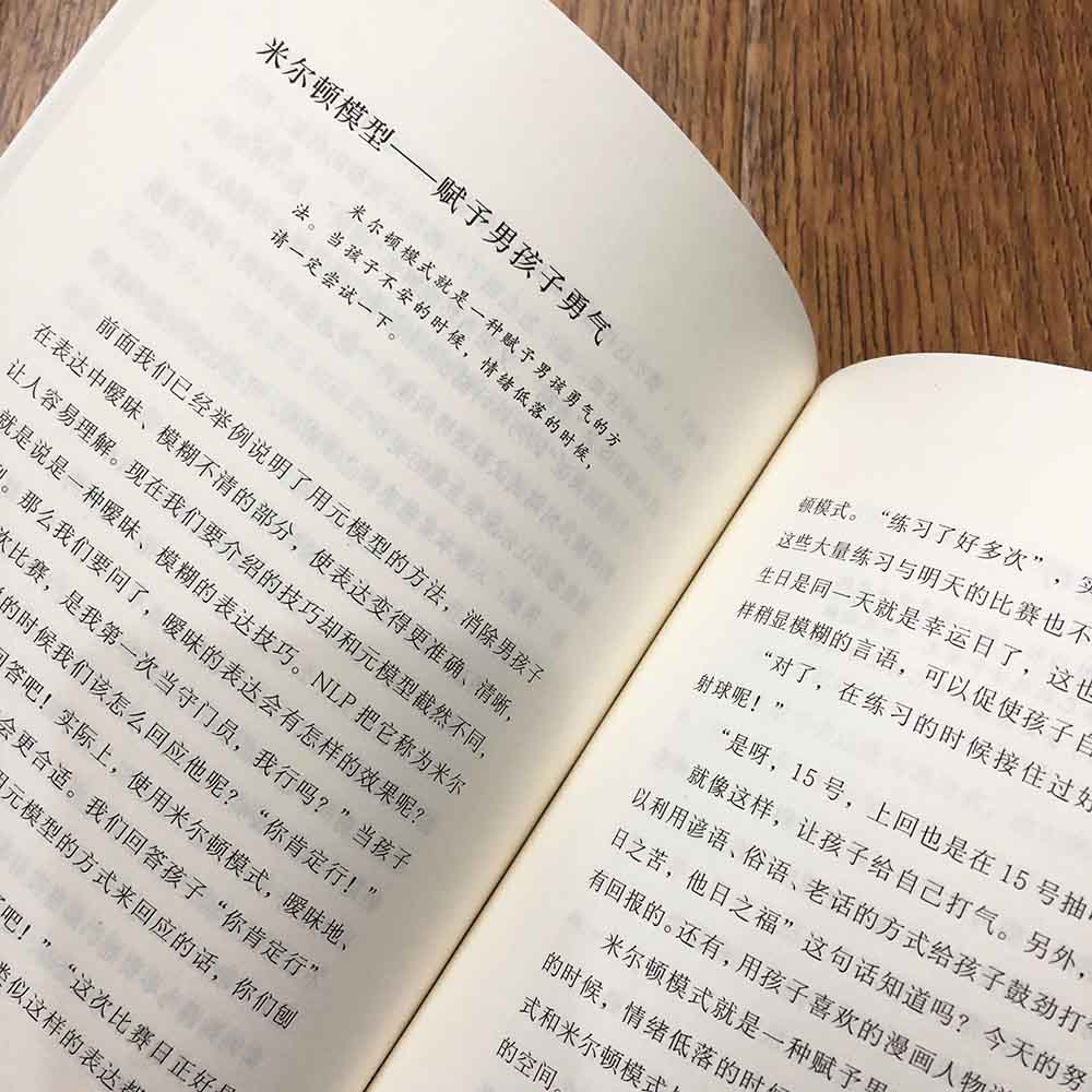 养育男孩：影响孩子一生的亲子沟通法详情图