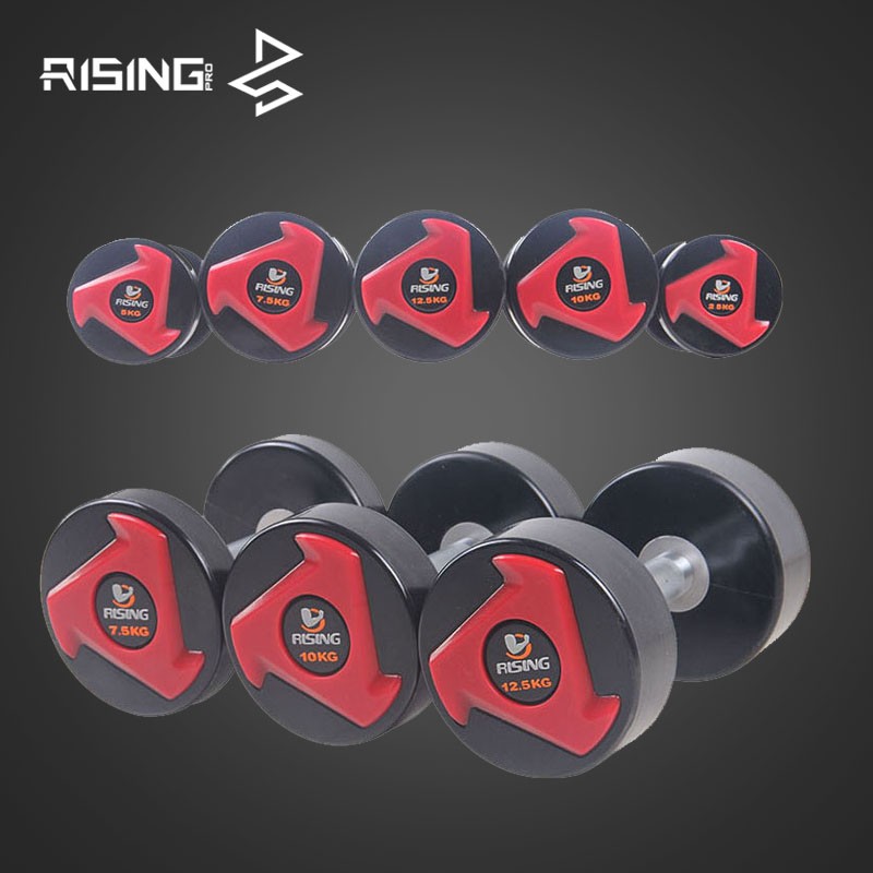 锐思(rising)无味cpu哑铃 男士哑铃健 圆头型哑铃 单只2.5kg