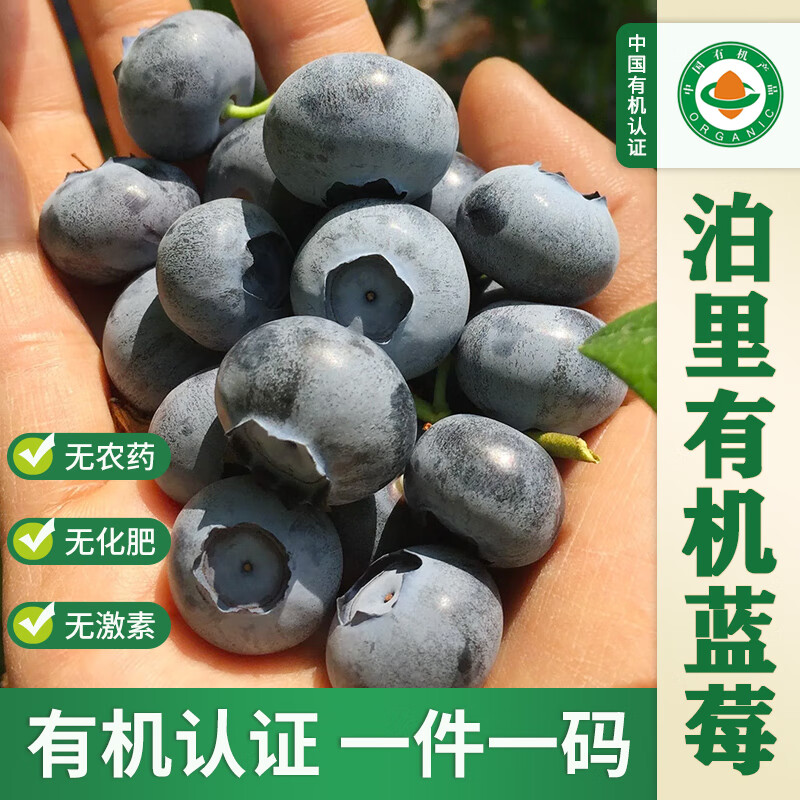 泊里蓝莓(poli blueberry)有机蓝莓 新鲜有机水果应季生鲜无农残 孕妇