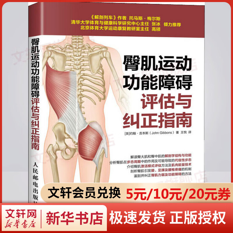 臀肌运动功能障碍评估与纠正指南