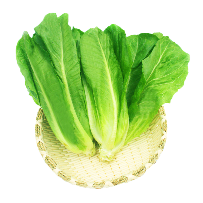 绿食者 沙拉蔬菜组合3.5斤 新鲜苦菊绿叶红叶生菜西餐沙拉健康轻食蔬菜 蔬菜沙拉组合3.5斤【无沙拉酱】