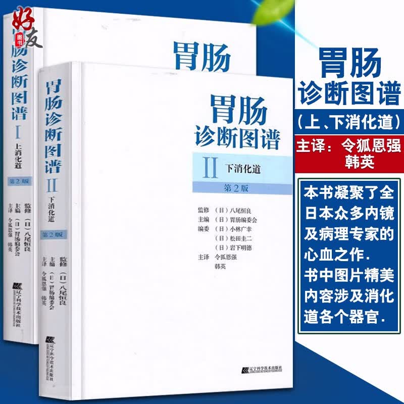 胃肠诊断图谱:上消化道 下消化道 第2版 胃肠编委会主编 辽宁科学技术
