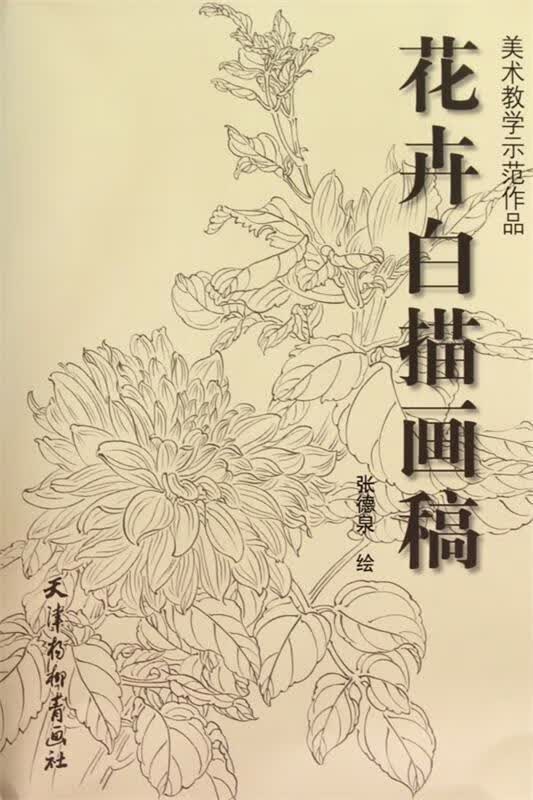 花卉白描画稿 张德泉 绘【正版】