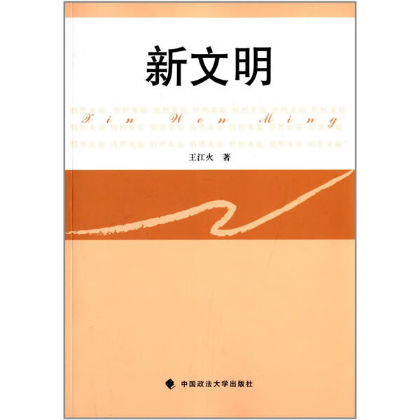 新文明 王江火 著作 中国政法大学出版社 9787562053903
