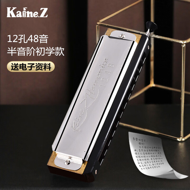 2023新款半音阶口琴 上海凯恩无膜片12孔半音阶口琴c调48音学生初学者