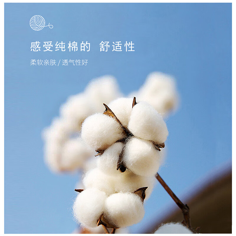 NASAR-FARM清仓 长袖t恤男士圆领纯棉套头打底衫休闲情侣款印花春秋款上衣男 DST1006-纯色-黑色 XL (130-145斤)
