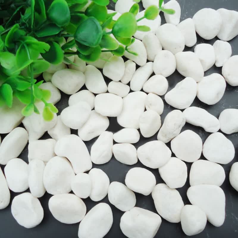 白石子白色小石头雨花石鹅卵石石头花盆栽天然小石头多肉铺面装饰 1-2