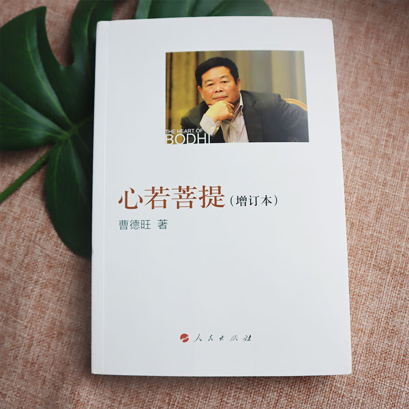 心若菩提曹德旺著自传记增订本奥斯卡电影美