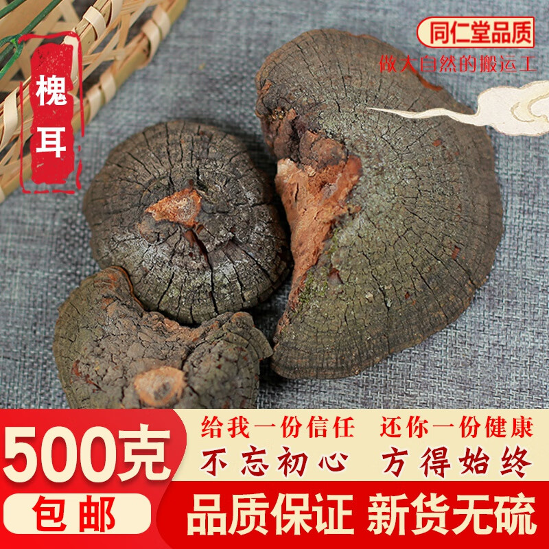 北京同仁堂槐耳 怀耳 中药材店铺500g散装桑黄 梅树菌 桑黄菰桑黄菇桑