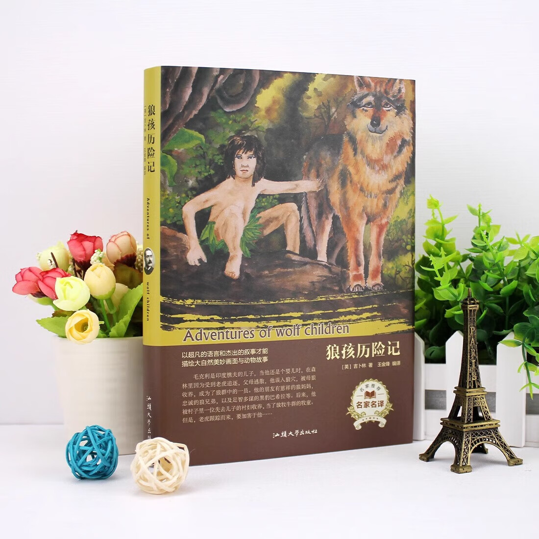 狼孩历险记 世界名著儿童文学经典外国小说 56