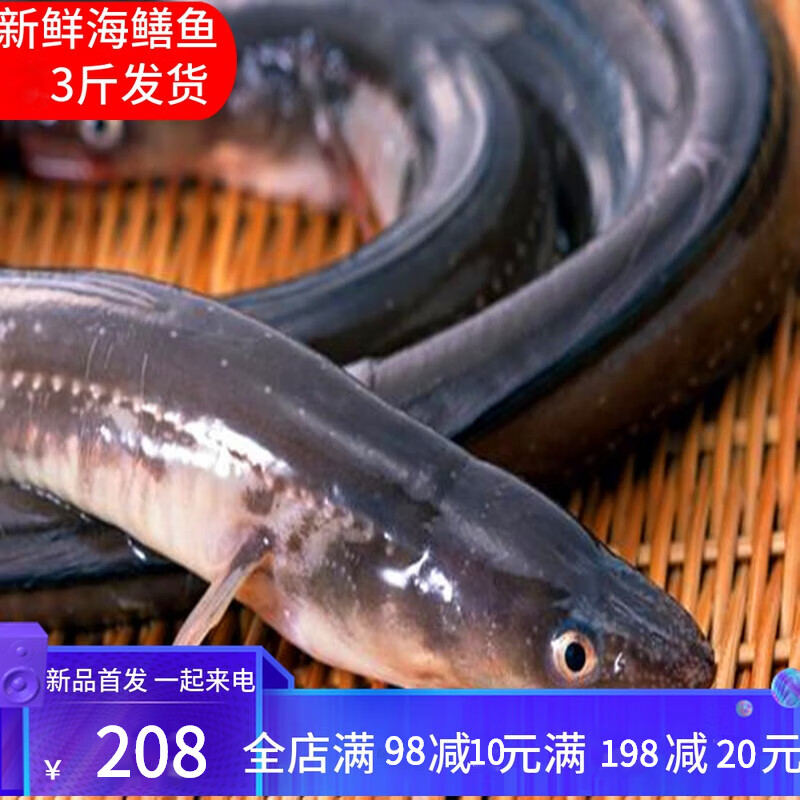 鲜水港威海特产当天海捕鲜活海鳗鱼新鲜白鳝鱼冷冻深海白鳗鱼鳗鲡鱼