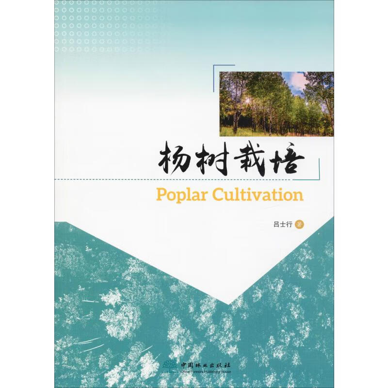 杨树栽培