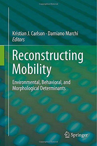 预订 Reconstructing Mobility
