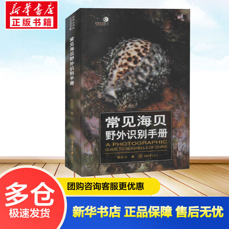常见海贝野外识别手册 陈志云 书籍