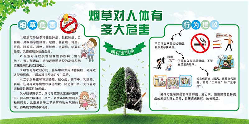 默然诺尔禁烟文化宣传贴画禁止吸烟挂图标语吸二手烟吸烟有害贴纸 1